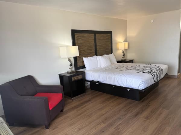 1 King Bed Non-Smoking
