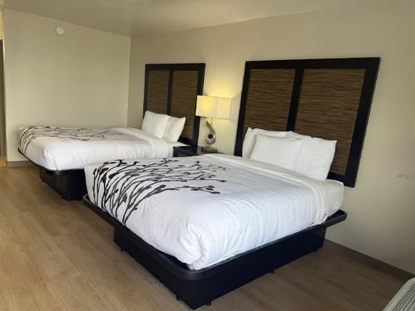 2 Queen Beds Non-Smoking